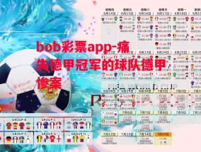 bob彩票app-痛失德甲冠军的球队德甲惨案